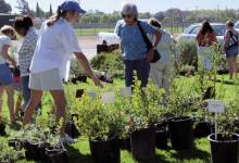 Stop and Smell the Roses