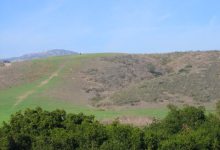 Save Elings Park South