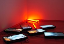 Big Cats and Monarchs at Art Museum