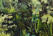 Art + Bolivia Brings the Rainforests to Carp