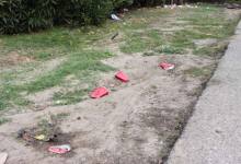 The Red Cups of Isla Vista