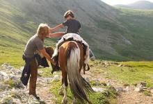 Autism Attacked Alternatively