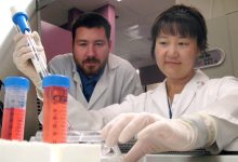 Pluripotent Cells Prevent Blindness in Lab Rats