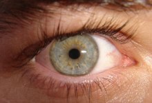 Adult Cells Turned Stem Cell