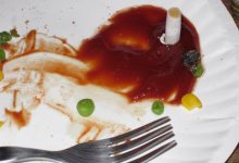 Roommate Wanted: Chill and Somewhat Clean