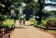 SBIFF’s To the Maxxx