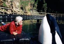 Cousteau on SeaWorld Tragedy