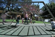 Parent-Child Workshop Discussions Continue