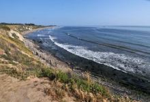 A Legacy in Landscapes