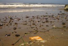 Sex and the College Town