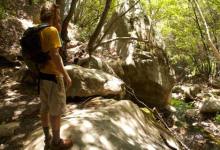 Nature’s Mighty Yaup!