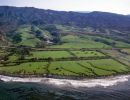 Deal to Buy Naples Dissolves