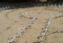 Isla Vista’s Newest Community Garden