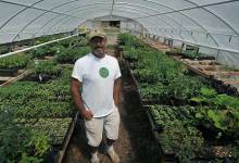 Learn How to Green a Garden