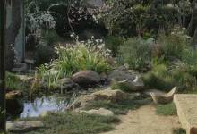 Salon Series Returns for Round Two