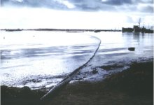 Trump, Zinke Seek to Foul Santa Barbara’s Nest