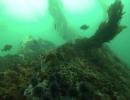 S.B. Channelkeeper Creates Naples Reef Dive Map