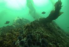 The Final Chapter Approaches