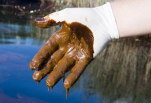 Documenting the Disaster