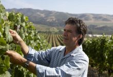 Serious About Chardonnay