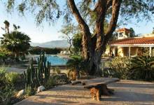 A Trip to the Desert