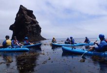 Adventure Is Their Middle Name