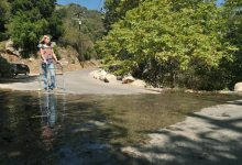 Bicycling + Mossy Road = Broken Hip