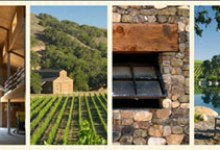 New Wines from a New AVA