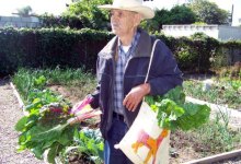 Garden Plots Available at City Community Gardens