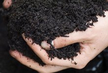 Soil Care