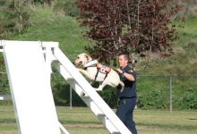 Urban Rescue Team Has Nose for Job