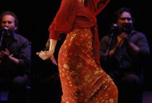 The 11th Annual Flamenco Arts Festival