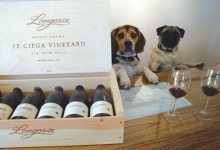 Global Wines and Wags