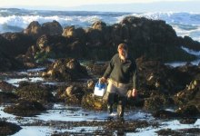 New Sea Slug Species Discovered By UCSB Scientist