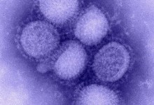 Viruses, Part I: Origins