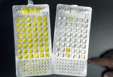 The Mystery of Arroyo Burro