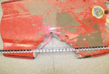 Shark Attack at Vandenberg Beach