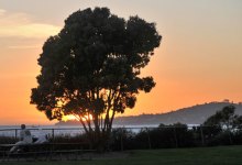 Open House for Rental Cabins