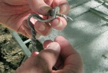 Ceiling Collapses at UCSB