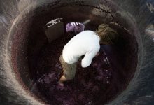 When Katrina Crushed, Wine Nurtured