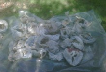 Workers Stumble Upon Meth Lab Dumping Ground