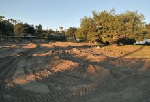 Mesa Harmony Garden Needs Your Vote