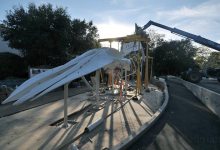 Blue Whale Skeleton Returns