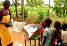 S.B. Permaculture Guild: From the Mara Soil