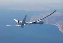 A Kinder, Friendlier Predator?