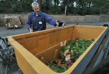 Albertsons Go (Seriously) Green