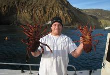 Diver Dies off Santa Cruz Island