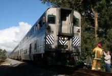 Train Strikes Fallen Tree