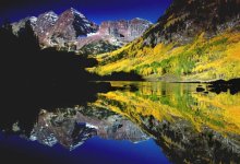 Interview with Thomas Kelsey