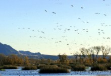 Outdoors Q & A: Hunting the Wildlife Refuges vs. Private Land